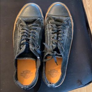 Men’s Harley Davidson converse style riding shoe